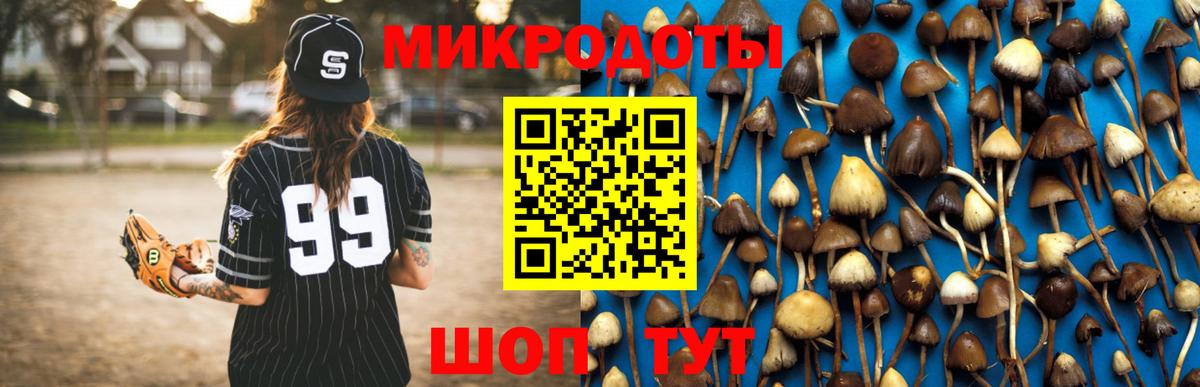 Галлюциногенные грибы MAGIC MUSHROOMS Бор