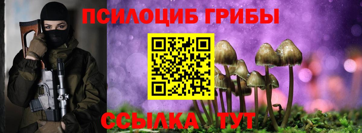 Бор  Галлюциногенные грибы Psilocybe  Вход с VPN 